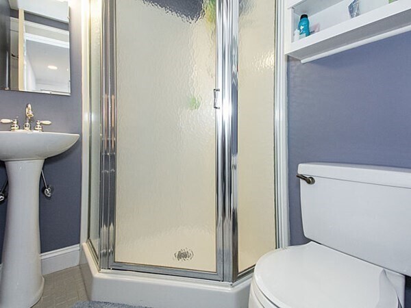 281 Brookline St, Unit #1 in Cambridge, MA - Building Photo - Building Photo