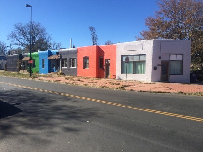 2737 N Downing St in Denver, CO - Building Photo - Building Photo