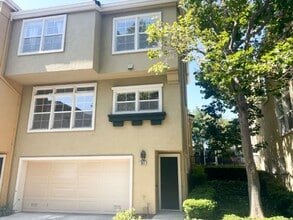 3603 Dickenson Common in Fremont, CA - Building Photo - Building Photo