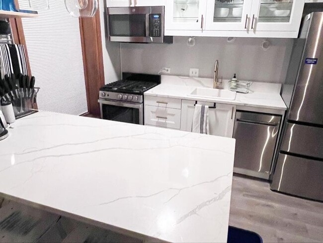 550 W Surf St in Chicago, IL - Building Photo - Building Photo