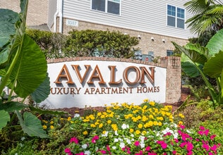 Avalon of Wilmington in Wilmington, NC - Foto de edificio - Building Photo