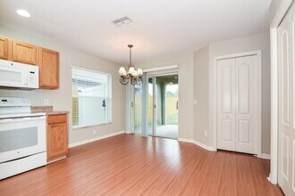 7803 Citrus Blossom Dr in Land O Lakes, FL - Foto de edificio - Building Photo