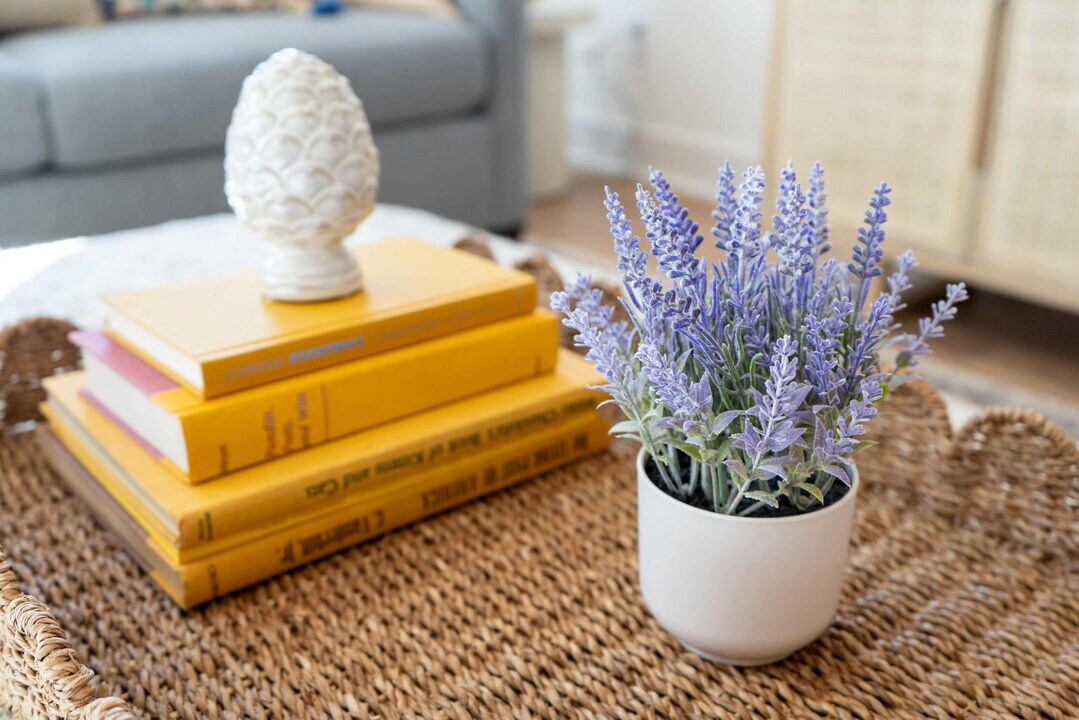 113 Lucile St in Nashville, TN - Building Photo