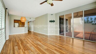 4801 Osprey Dr S in St. Petersburg, FL - Building Photo - Building Photo