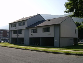 Mills Park in Renovo, PA - Building Photo - Building Photo