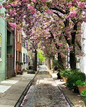 2424 Panama St in Philadelphia, PA - Building Photo - Building Photo