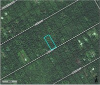 11-1786-111-1786 Naia St