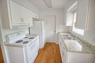 205 E Esther St in Orlando, FL - Building Photo - Building Photo