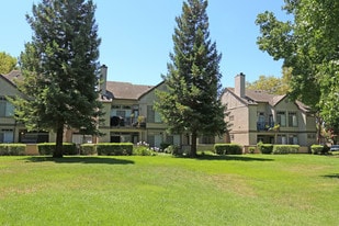 Larkspur Woods Apartments