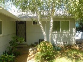 1315 L St in Davis, CA - Building Photo