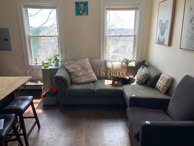 8 Buckley Ave in Boston, MA - Building Photo - Building Photo