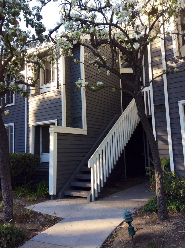property at 25275 Pine Creek Ln