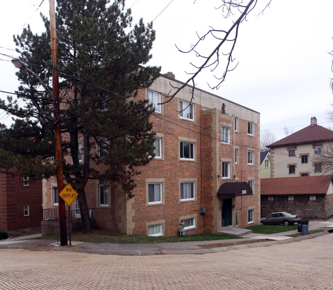 208 Wasson Pl in Pittsburgh, PA - Foto de edificio - Building Photo