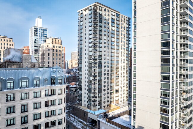 Ritchie Court Condominiums in Chicago, IL - Building Photo - Building Photo