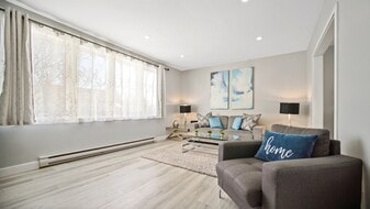 147 New Cove Rd in St John's, NL - Building Photo