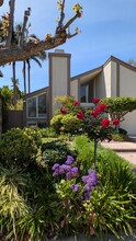 42 Almond Tree Ln in Irvine, CA - Building Photo - Building Photo