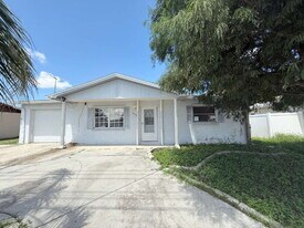 9739 Marlinton Ln in Port Richey, FL - Building Photo