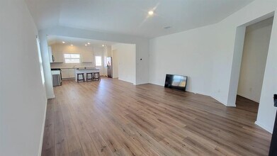 319 Alamito Ave in Kyle, TX - Building Photo - Building Photo