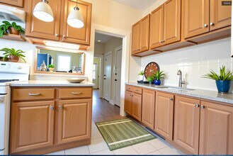 25 Mount Hood Rd, Unit 6 in Boston, MA - Building Photo - Building Photo