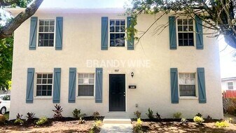 803 E Baker St in Tampa, FL - Building Photo
