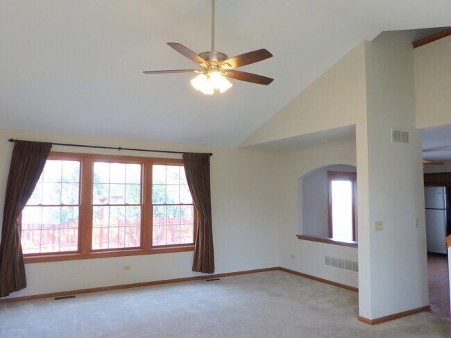 2114 Wyndham Lakes Ct in Plainfield, IL - Building Photo - Building Photo