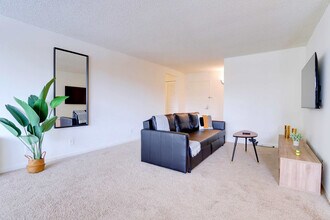 320 23rd St S in Arlington, VA - Foto de edificio - Building Photo