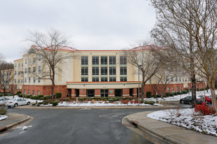 McAlpine Terrace(55+ Community) Apartments