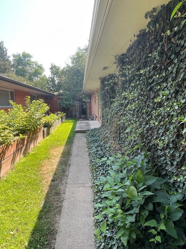 2204 S College Ave in Fort Collins, CO - Building Photo - Building Photo