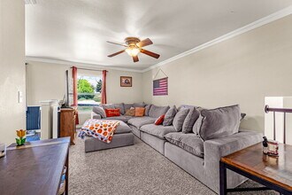 7115 Grand Valley Dr in Colorado Springs, CO - Building Photo - Building Photo