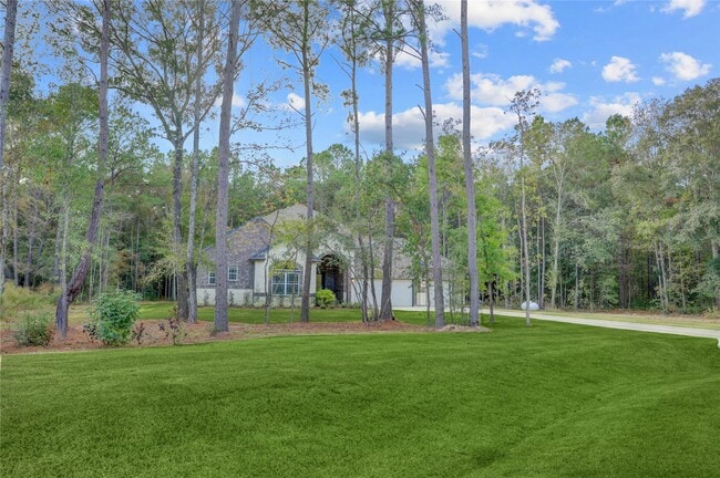 property at 1619 Chisos Bnd