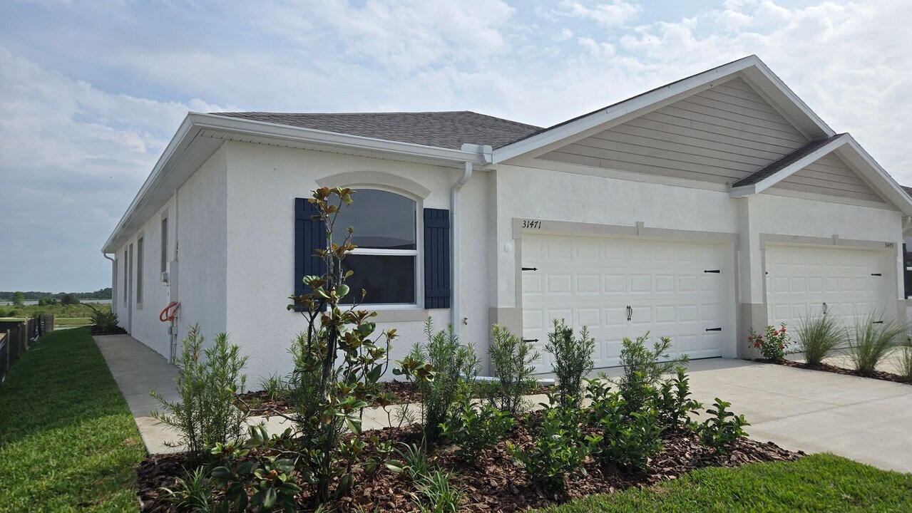 31471 Paper Birch St in Wesley Chapel, FL - Building Photo