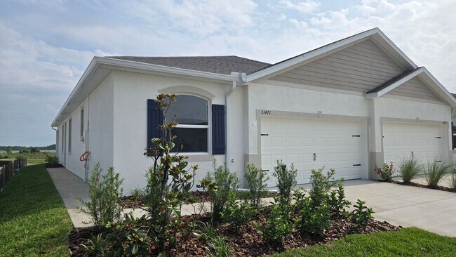 property at 31471 Paper Birch St