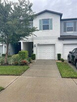 3926 Cat Mint St in Tampa, FL - Building Photo