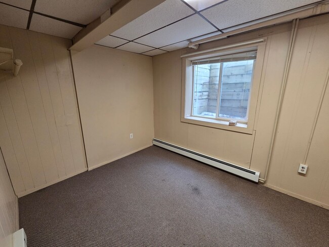 1019 Bemidji Ave N in Bemidji, MN - Building Photo - Building Photo