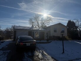 982 Hastings Ln in Hanover Park, IL - Building Photo