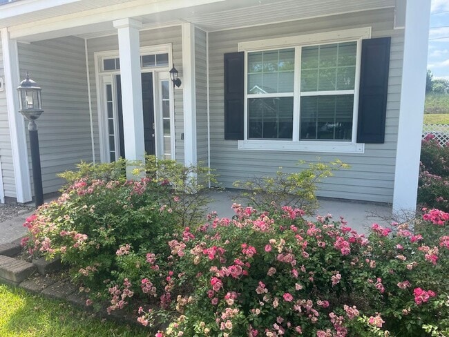 8156 Ronda Dr in North Charleston, SC - Building Photo - Building Photo