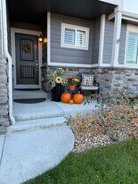 5383 Homeward Dr in Timnath, CO - Building Photo