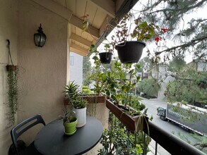 6151 Canterbury Dr, Unit 302 in Culver City, CA - Building Photo - Building Photo