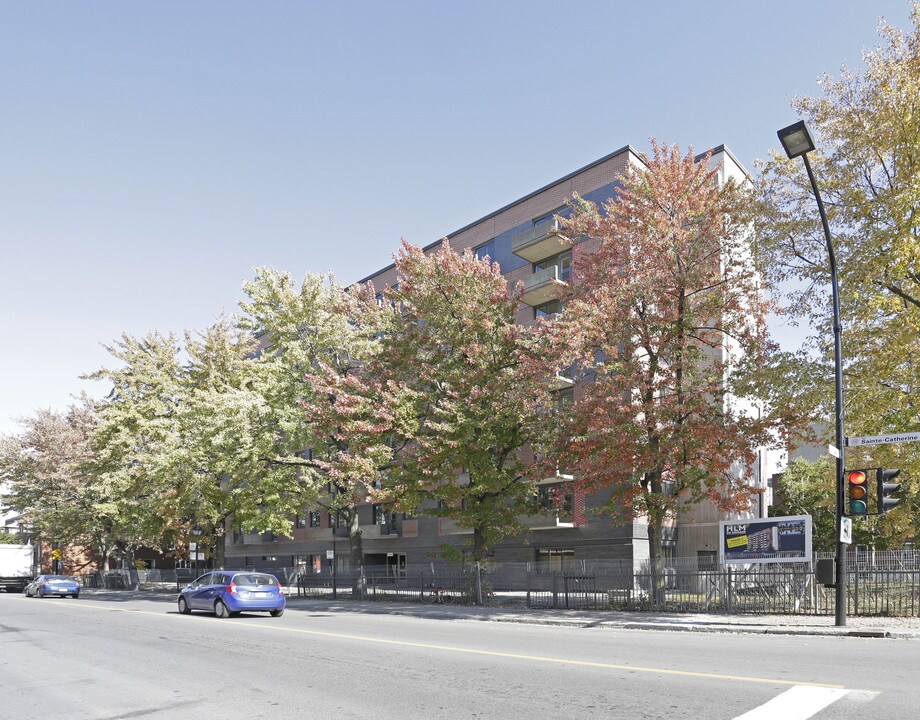 3760 E Sainte-Catherine O in Westmount, QC - Building Photo