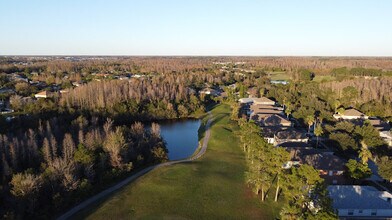 19138 Cypress Green Dr in Lutz, FL - Building Photo - Building Photo