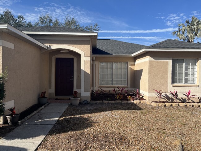 12112 Buffington Ln in Riverview, FL - Foto de edificio - Building Photo