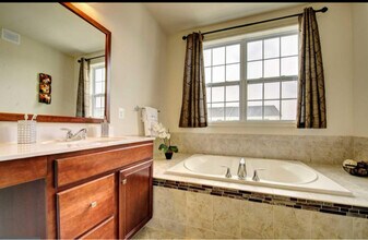 23479 Buckland Farm Terrace in Ashburn, VA - Building Photo - Building Photo