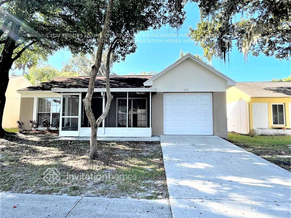 8601 Misty River Ct in Tampa, FL - Building Photo