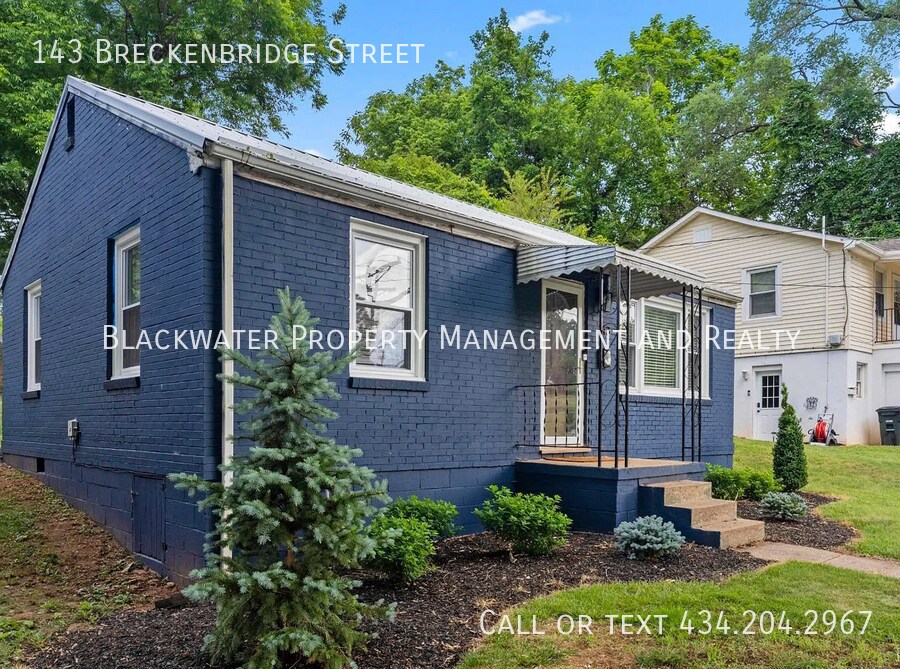 143 Breckenbridge St in Lynchburg, VA - Building Photo