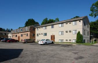 Willow Vista in Lansing, MI - Building Photo - Building Photo