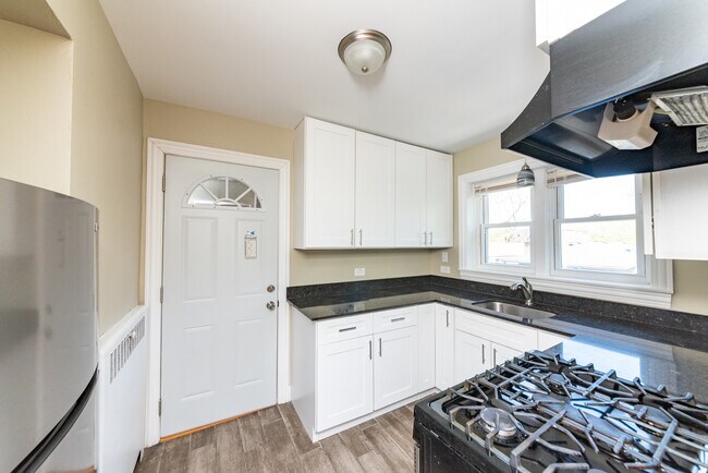 227 Custer Ave in Evanston, IL - Building Photo - Building Photo