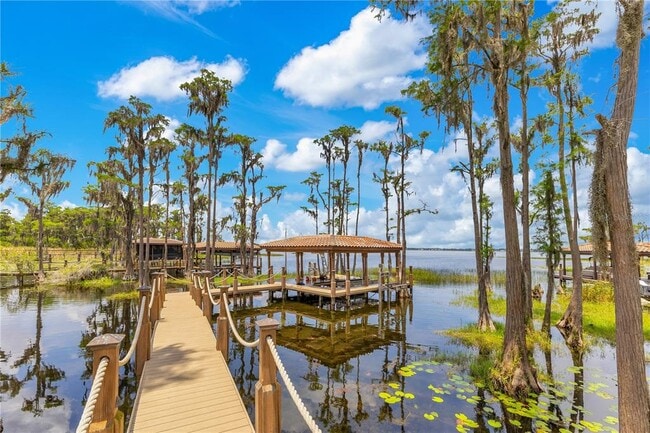 11103 Bridge House Rd in Windermere, FL - Building Photo - Building Photo