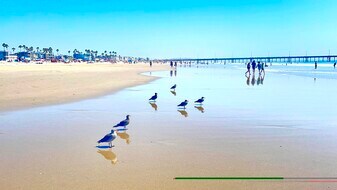 13100 Boca Ciega Ave in Madeira Beach, FL - Building Photo