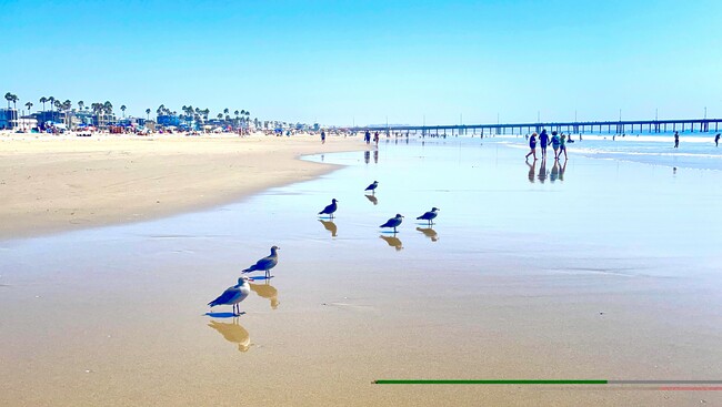 13100 Boca Ciega Ave