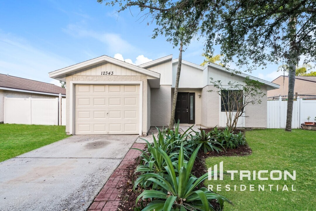 12343 Witheridge Dr in Tampa, FL - Building Photo